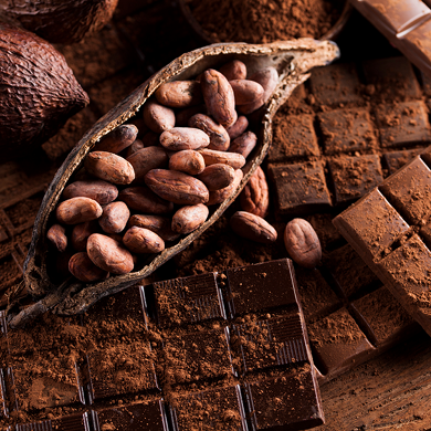 Split cacao pod filled with roasted cacao beans beside dark chocolate and dusted cocoa powder