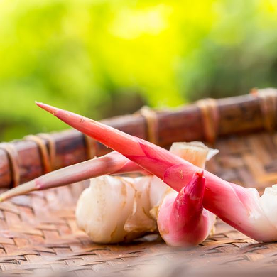 Pink galangal shoots and rhizome on a woven tray, the peppery botanical in Shanty Seaweed Botanical Vodka