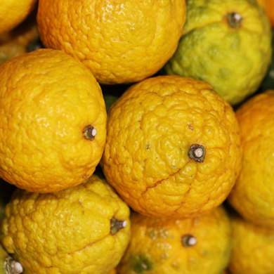 Yuzu